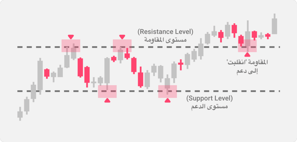 مثال على استخدام مستويات الدعم والمقاومة في تداول حركة السعر